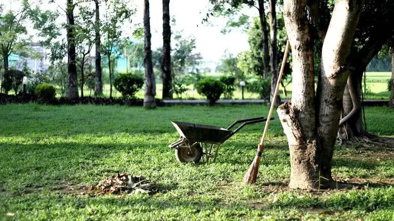 Dehradun home to India's first cryptogamic garden, inaugurated by social activist Dehradun launches cryptogamic garden