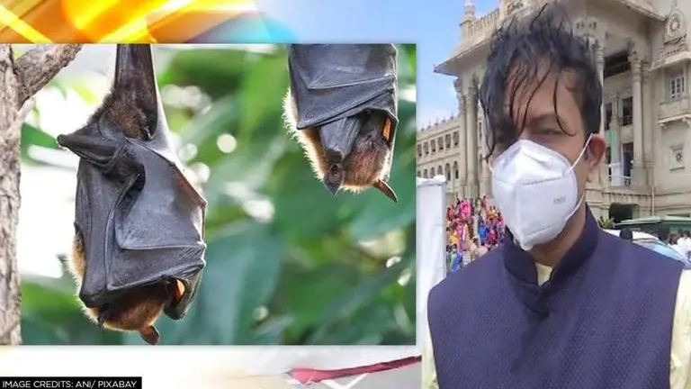 Nipah virus: Karnataka to monitor people from Kerala, issues guidelines for residents Nipah virus