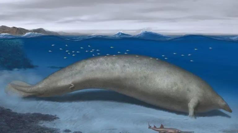 39-million-year-old extinct whale believed to be the heaviest mammal that ever lived heaviest animal