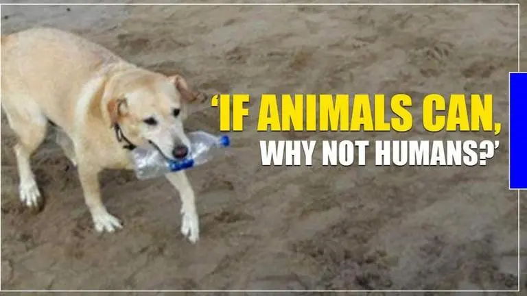 Diesel - Dog who fought plastic on Mumbai's beaches - passes away Afroz Shah