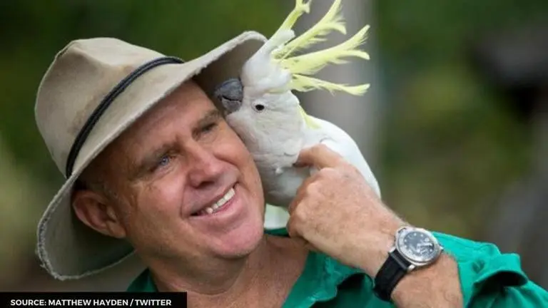 Ex-IPL winner Matthew Hayden develops new mobile cricket game with Indian company IPL