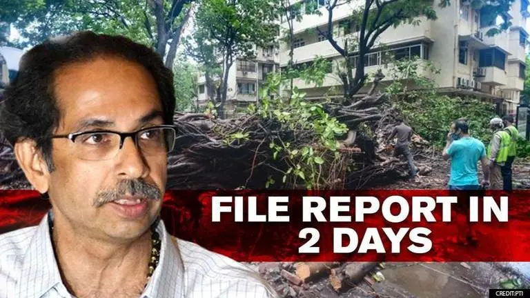 CM Thackeray asks officials to file damage report on Cyclone Nisarga within 2 days Thackeray