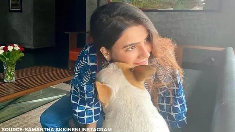 Did you know Samantha Akkineni began her career in acting due to financial crisis? Samantha Akkineni