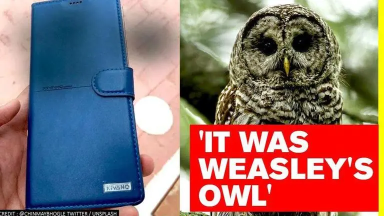 Owl drops phone on someone's terrace, netizens say it's ‘admission letter from Hogwarts’ owl