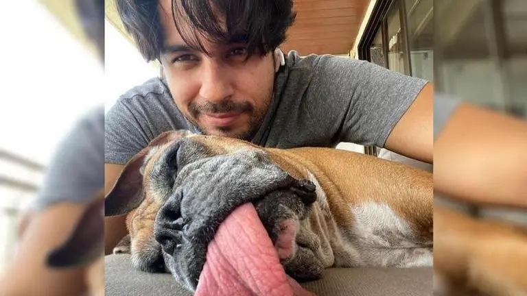 Sidharth Malhotra's quirky Instagram captions that got thumbs up from his fans Sidharth malhotra