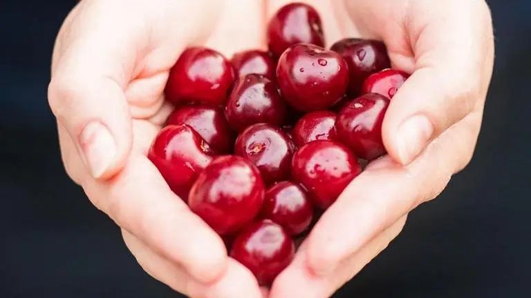 World Heart Day: Here's a list of foods to keep your heart healthy and happy Foods for a healthy heart
