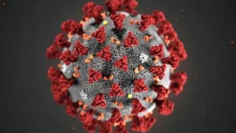 Telangana continues to see surge in COVID-19 cases; 2,478 more infections