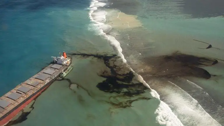Head of Mauritius Marine Conservation Society on oil spill