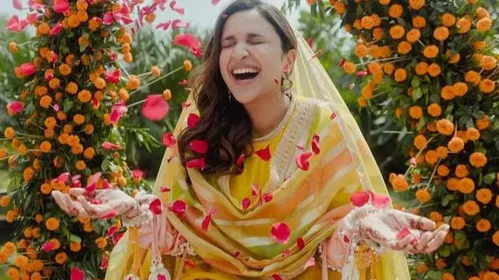 Description of the pic