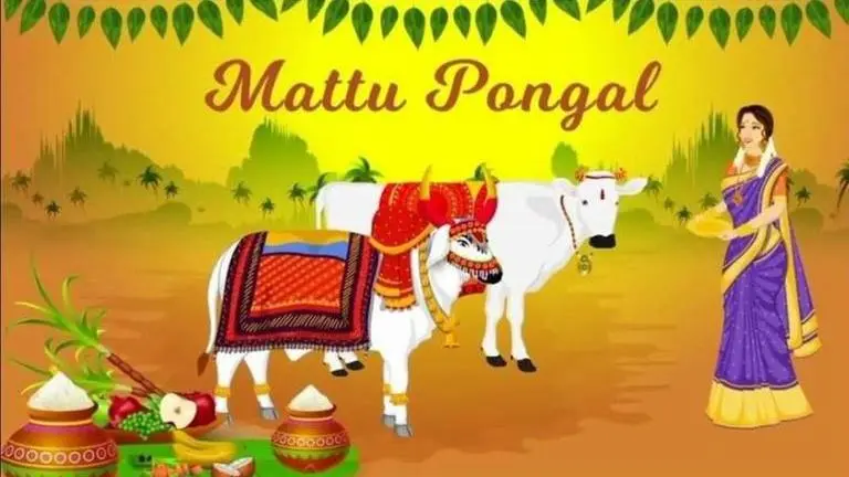 mattu pongal 2021