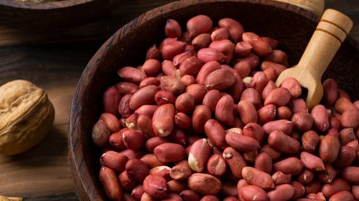 Description of the pic