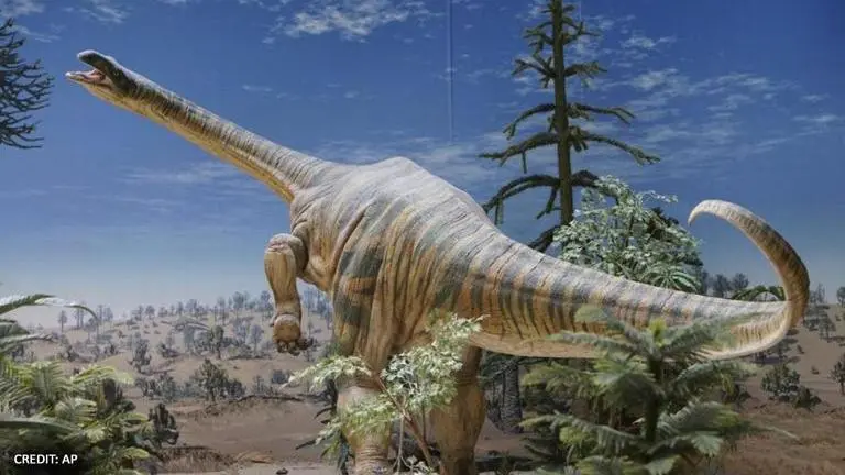 Meghalaya: Archeologists unearth rare 100 million-year-old fossil of sauropod dinosaur Meghalaya