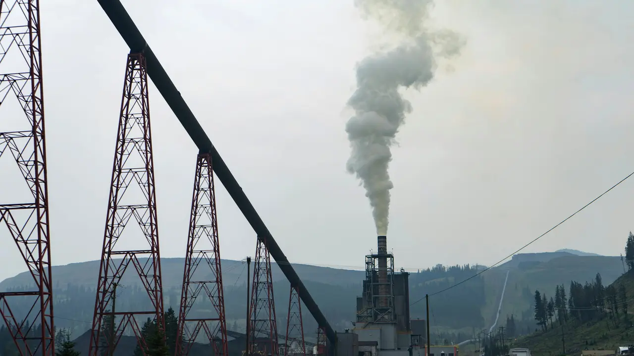 THDC India Ltd targets September 2024 for coal-based power plants THDC India Ltd targets September 2024 for coal-based power plants