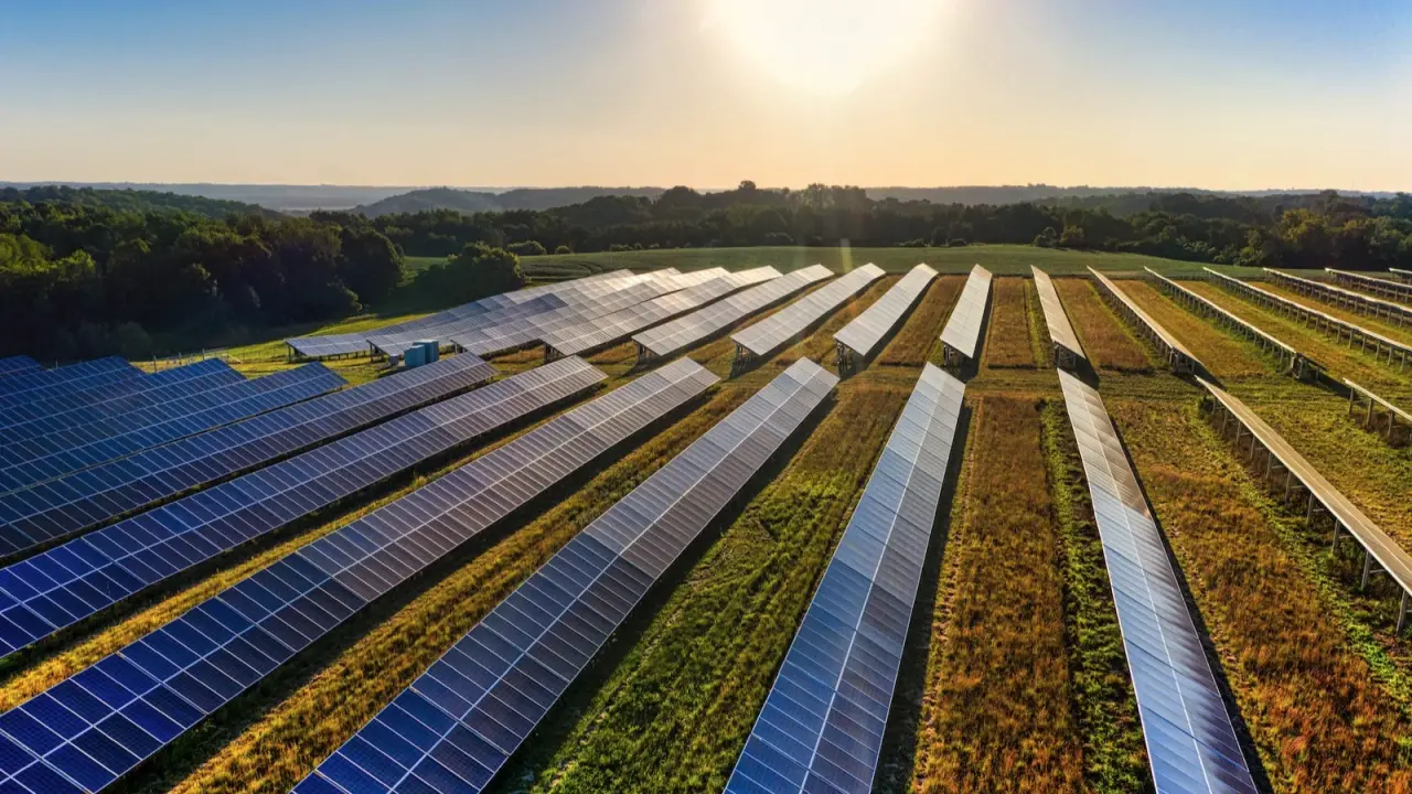 Indias Supportive Policies, Funding Drive Rapid Green Energy Transition In Subcontinent: SP