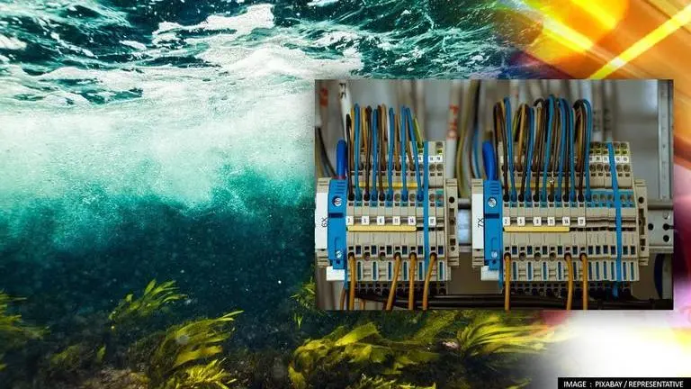 Israel researchers develop new method to extract electric current from seaweed: Report Israel