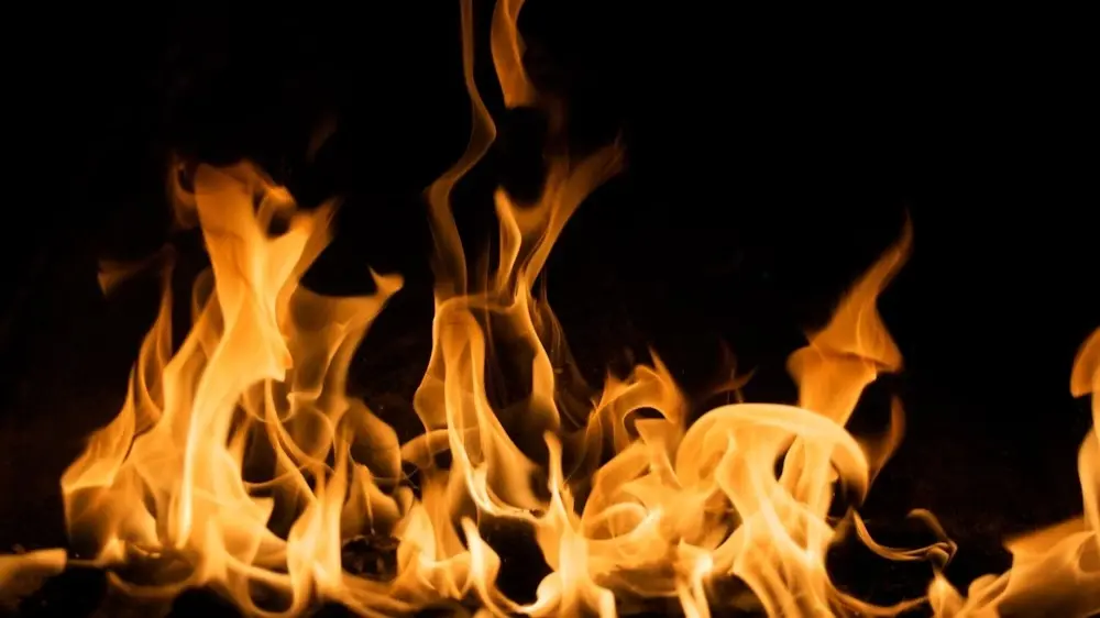 Fire Engulfs Pet Shop In Kerala, Killing 100 Birds, Rabbits And Fishes (representational image)