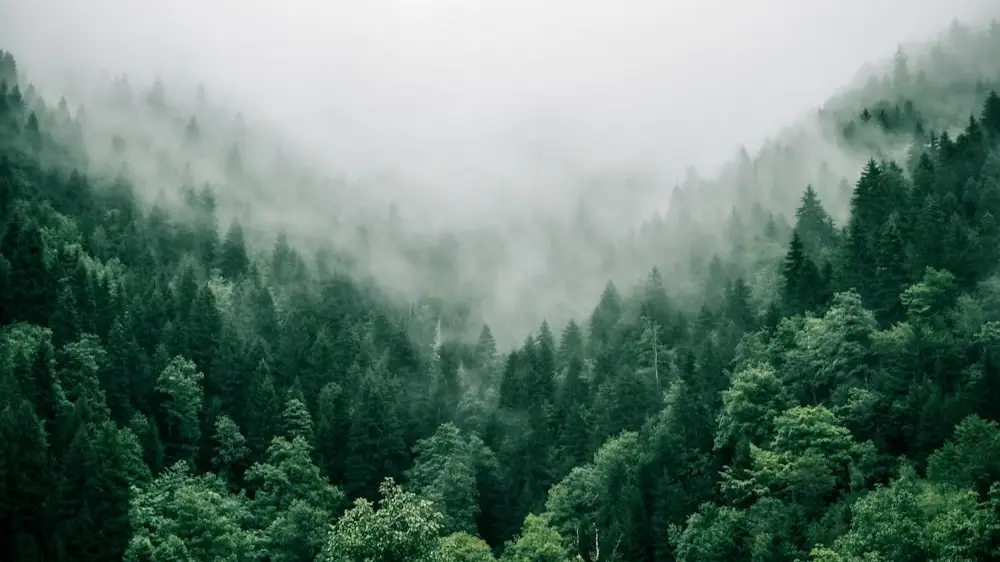 Three missing Indians rescued from Nepal’s Nagarkot forest 10 hours after disappearance