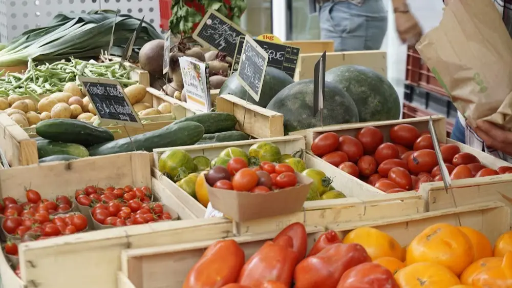 Retail inflation hits lowest point since pandemic: Govt data Retail inflation