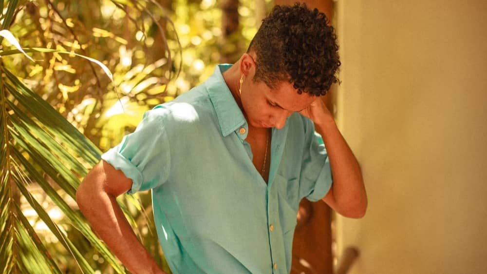 Description of the pic