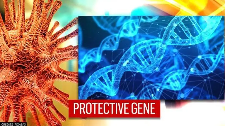 COVID-19: Neanderthal protein offers protection against mutant virus strain, says study COVID-19