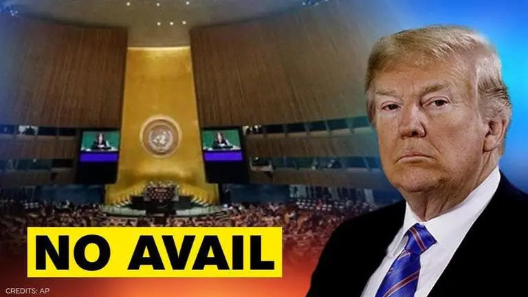 UN adopts resolution calling for global cooperation to fight COVID-19, US votes against it Un