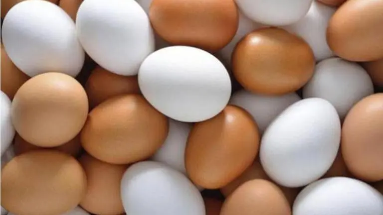 BIZARRE | Man in UP dies after eating 41 eggs as a part of a challenge UP