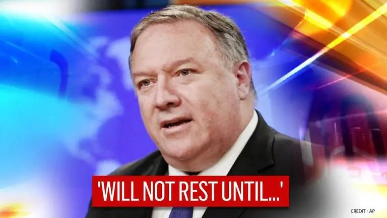 Houthi rebels in Yemen release two US hostages, Pompeo commends 'tenacious diplomacy' Houthi