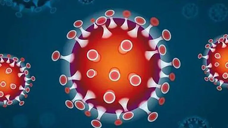 COVID-19 cases continue to surge in U'khand, infection tally reaches 23,011