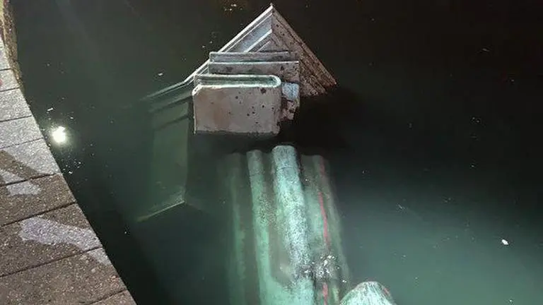 Richmond protesters throw Columbus statue in lake