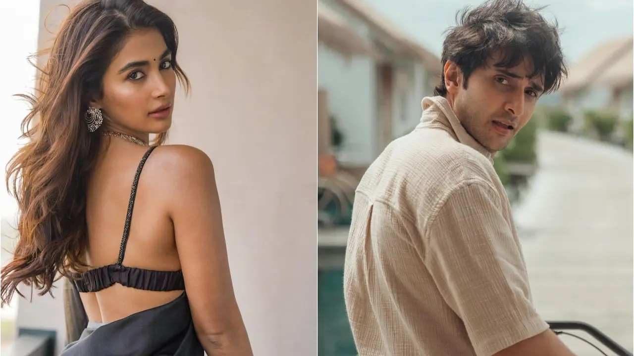 Meet Pooja Hegde's Rumoured Boyfriend Rohan Mehra - Saif Ali Khan's Co-star and Former VJ Pooja Hegde, Rohan Mehra