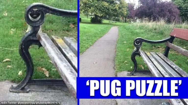 A pug is hiding in plain sight in this puzzle, can you spot? The hilarious pug in this pug puzzle amid lockdown has Twitter in splits