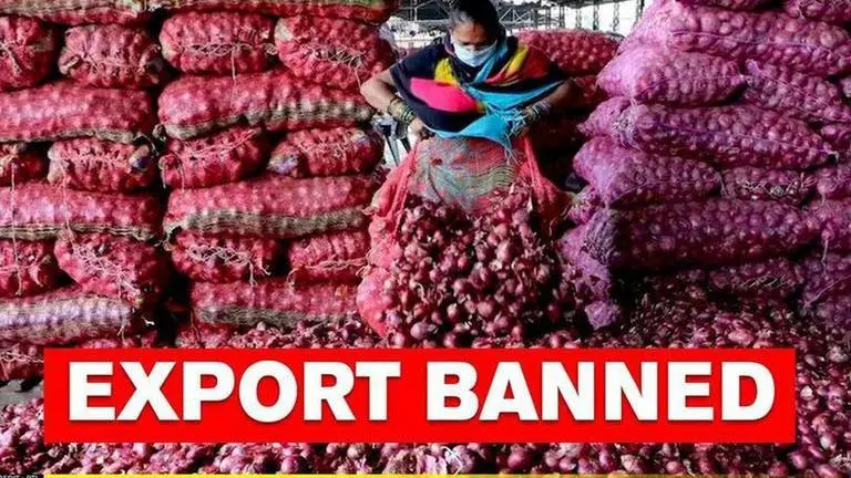 Onion export ban: Maharashtra Congress to protest on Wednesday against Centre Onions