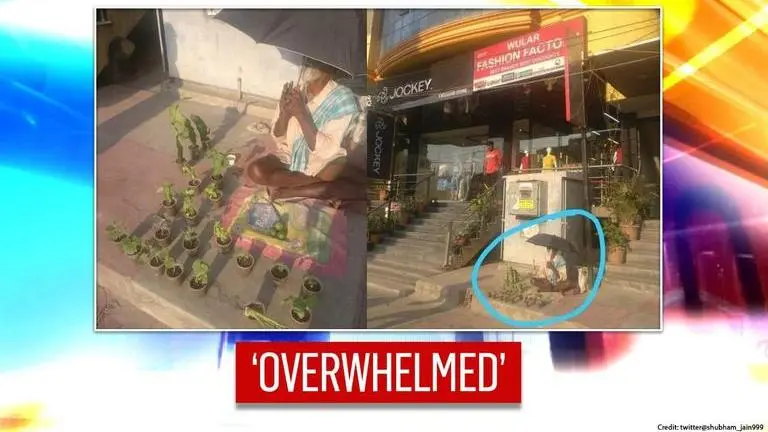 'Power of social media': 79-yr-old roadside plant seller's sales double after viral photo Bengaluru