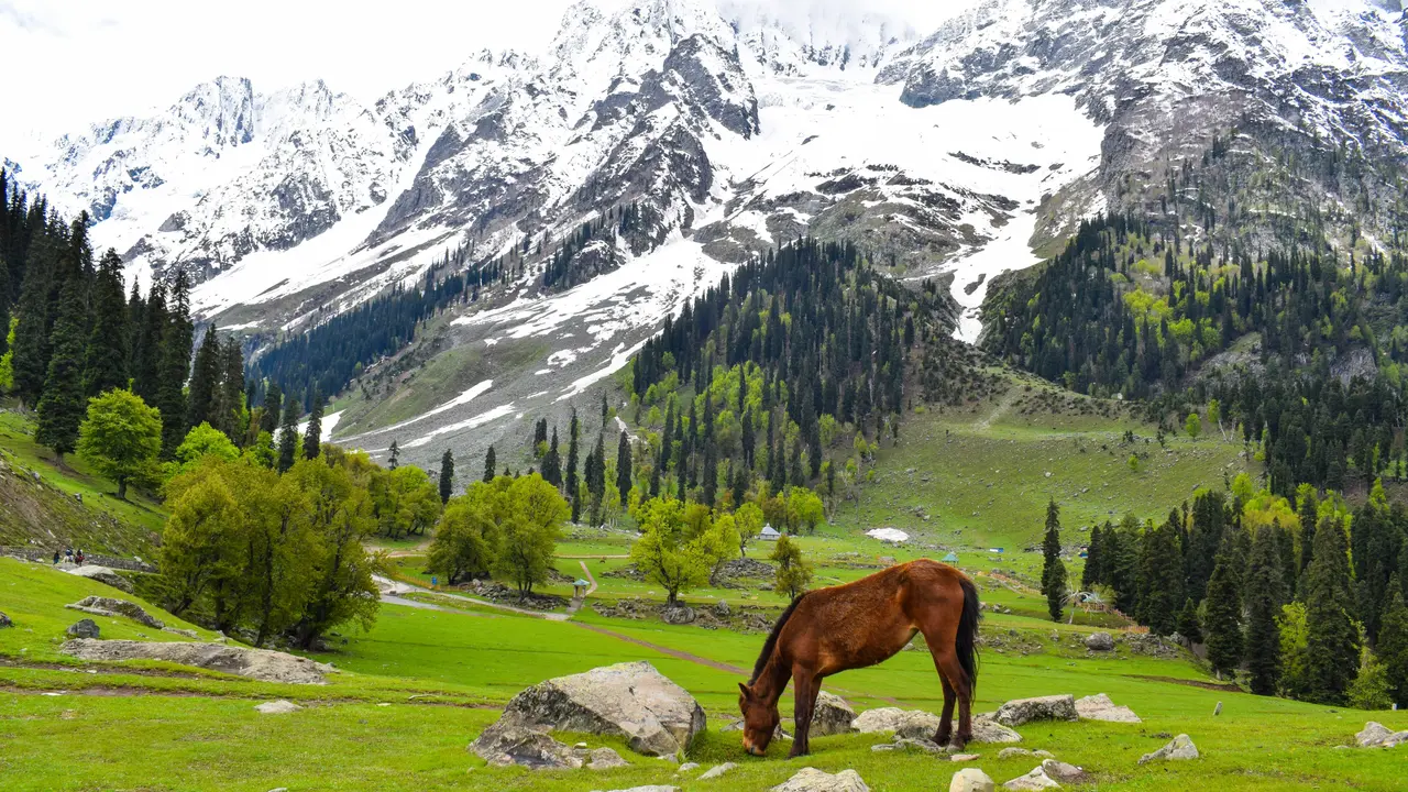 Travelling To Kashmir For The First Time? Tips To Make The Trip Memorable Kashmir Valley