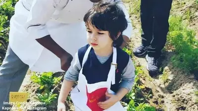 Taimur Ali Khan's reaction on seeing a cute dog is winning hearts online | WATCH Taimur Ali Khan