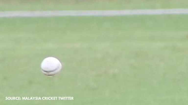 SH Vs NS Dream11 prediction, team, top picks, Malaysian T20 League game preview SH vs NS dream11 prediction