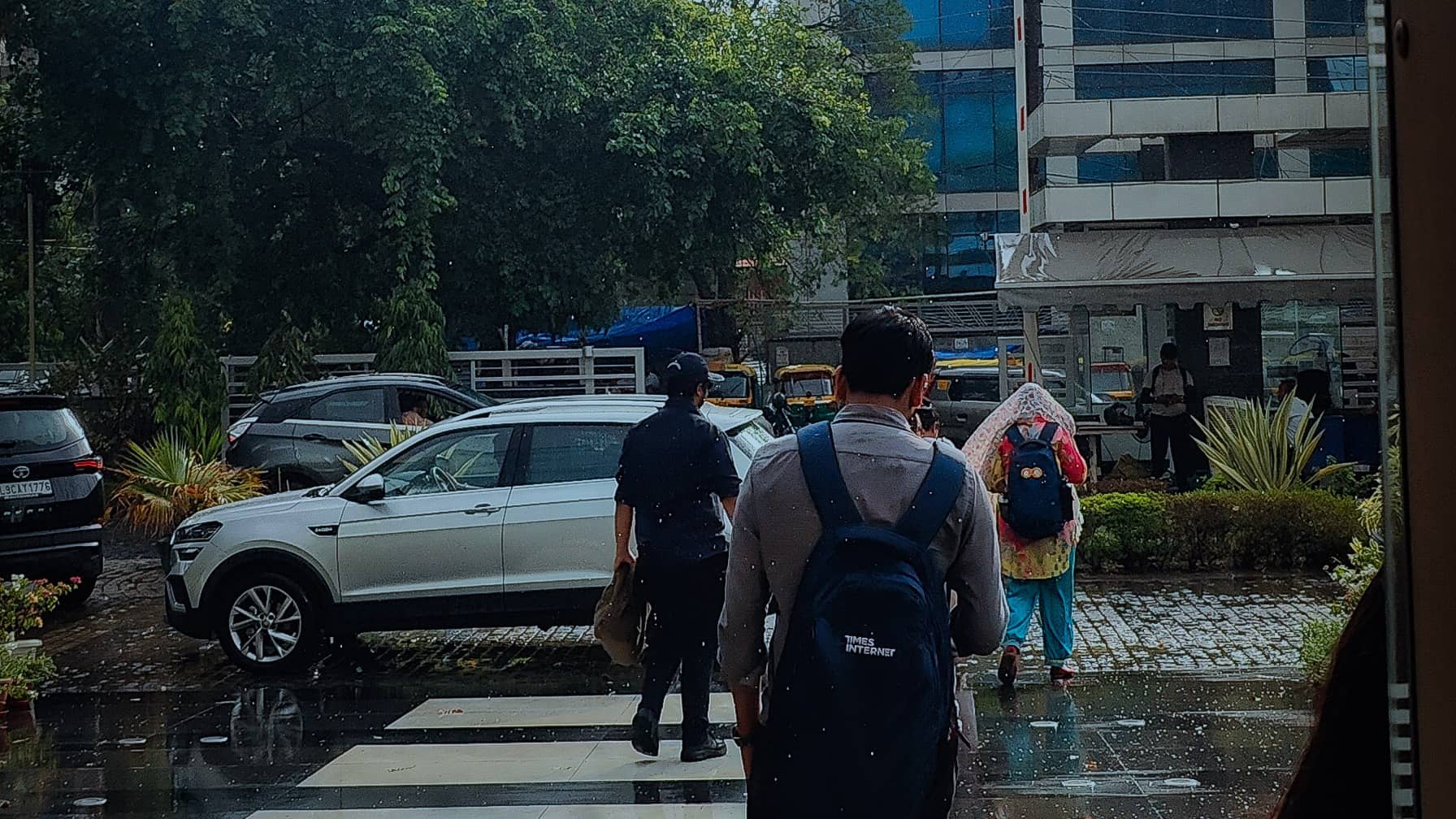 Description of the pic