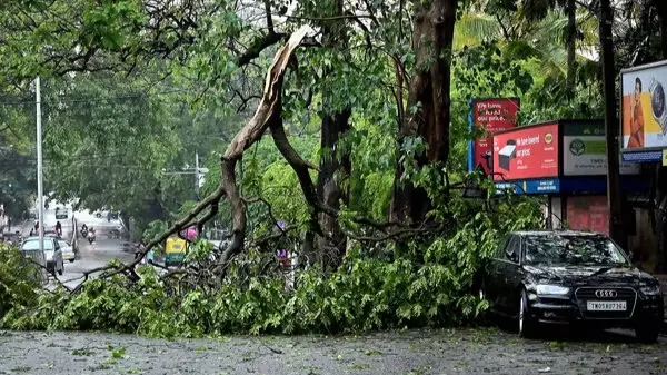Namma Metro: Tree branch falling on the metro tracks just after Trinity Station towards MG road