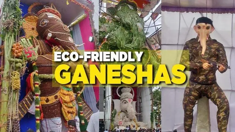 Ganesh Chathurthi: Meet Chennai's rudraksh, shell and aloe Ganapatis Ganesh