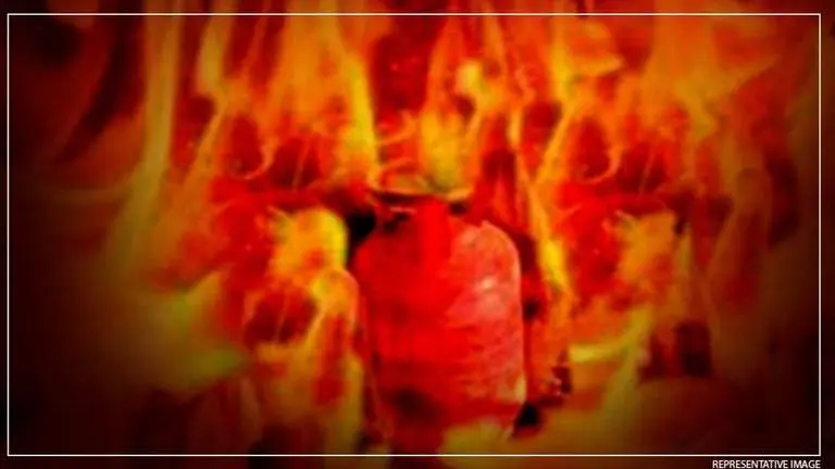 Uttar Pradesh: 3 die as LPG cylinder catches fire