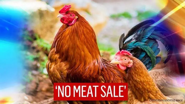 World Animal Day 2020: Vasai Virar Municipal Corporation bans sale of meat on October 4 World Animal Day 2020: Vasai Virar Municipal Corporation ban sale of meat on October 4