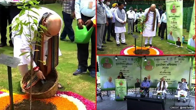 Home Minister Amit Shah launches 'Tree Plantation Drive 2020' organised by Coal Ministry tree plantation drive