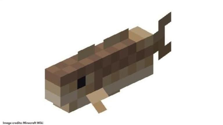 Fishing Pole Minecraft Map