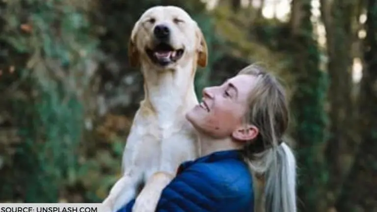 Common pet training mistakes that dog owners can avoid during their training sessions common pet training mistakes