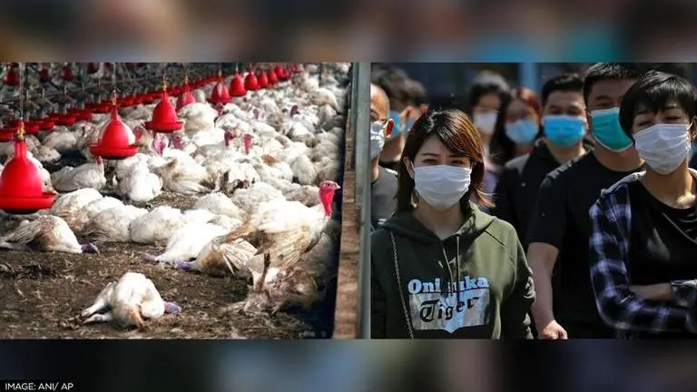 China: 1st human case of H3N8 bird flu virus reported in Henan; NHC downplays risks Bird flu in China