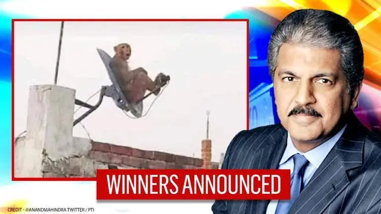 Anand Mahindra reveals winners of best captions for monkey pic; check hilarious replies Anand Mahindra