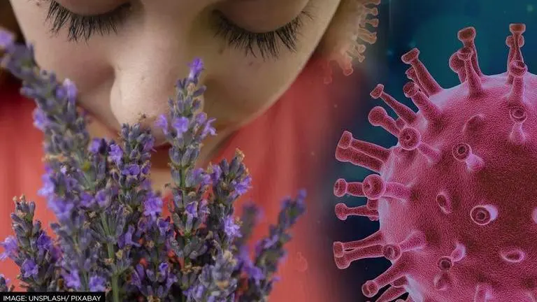 UK: After COVID recovery, woman develops ability to smell for 1st time since childhood UK