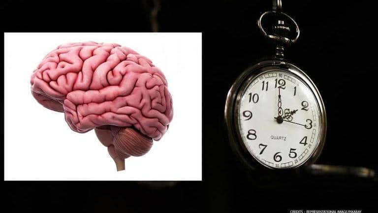 Scientists discover time cells in human brain that enable mental time ...