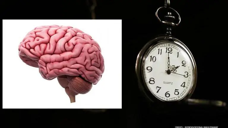 Scientists discover time cells in human brain that enable mental time travel Time cells