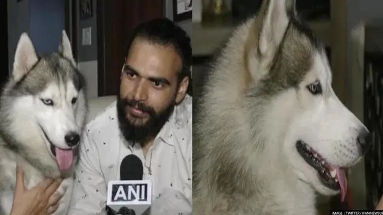'Nawab was overwhelmed with blessings', says vlogger booked for taking Husky to Kedarnath Kedarnath
